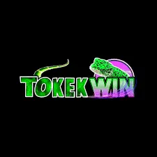 TOKEKWIN - Aplikasi WiFi Analyzer Terbaik untuk HP Anda